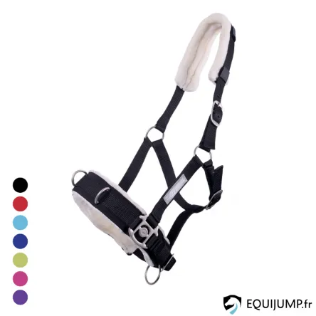 Caveon Nylon Mouton QHP - BLEU CIEL - COB/PUR-SANG Expdi Aujourdhui