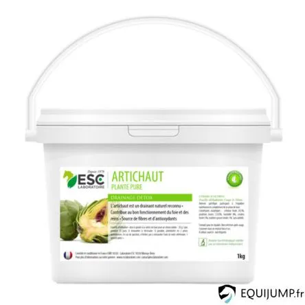 Artichaut 1kg ESC – 1KG Meilleur Prix