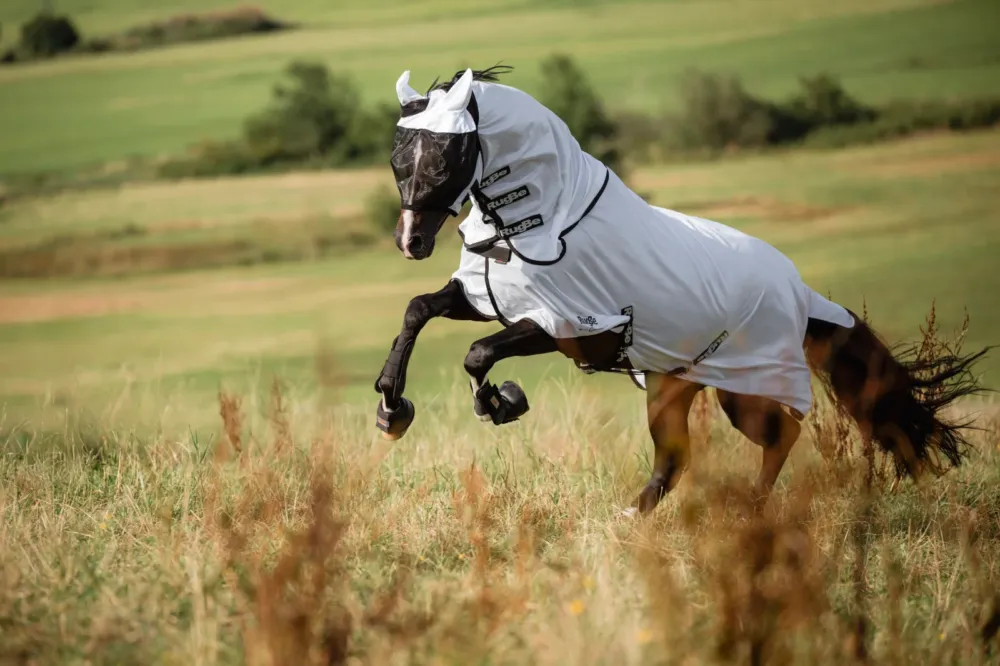 Masque anti-mouches SuperFly Covalliero protection des oreilles - Poney - Blanc Haute Qualit