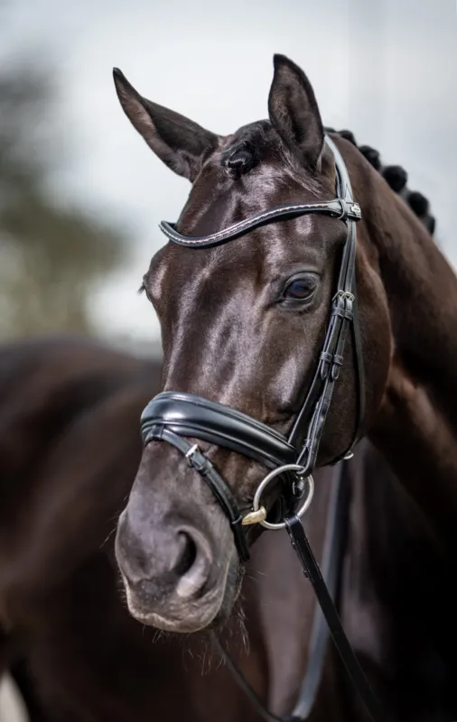 Bon Plan Bridon de dressage Classic LeMieux - Cob - Noir