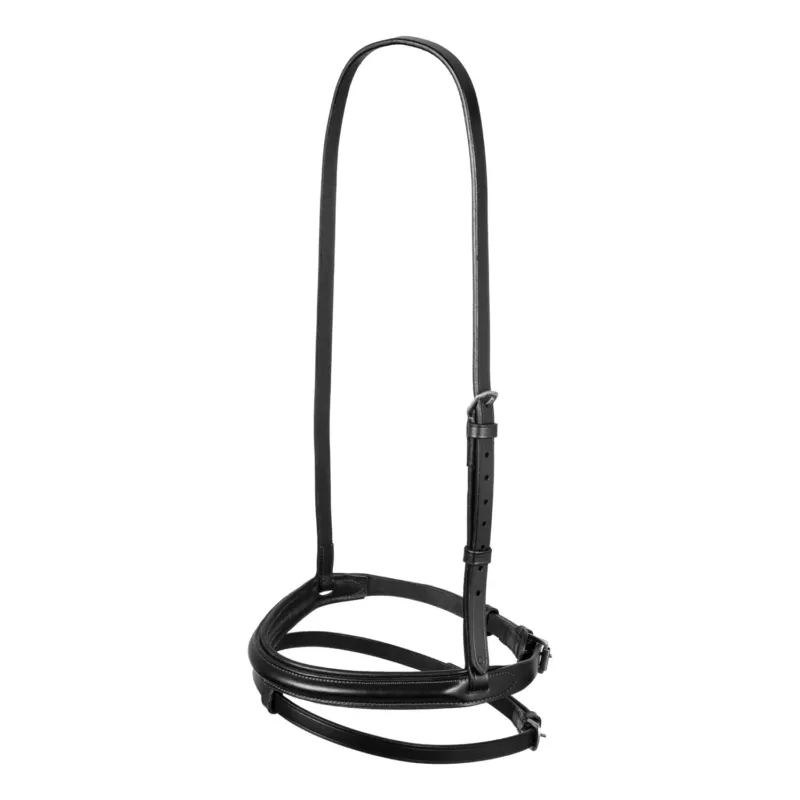 Bride avec muserolle combine Equestro - Cob - Noir Acheter Direct