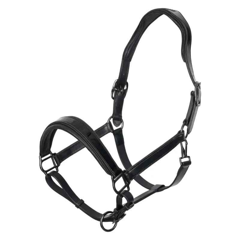 Licol Imperial Riding Hera - Cob - Noir Meilleure Vente