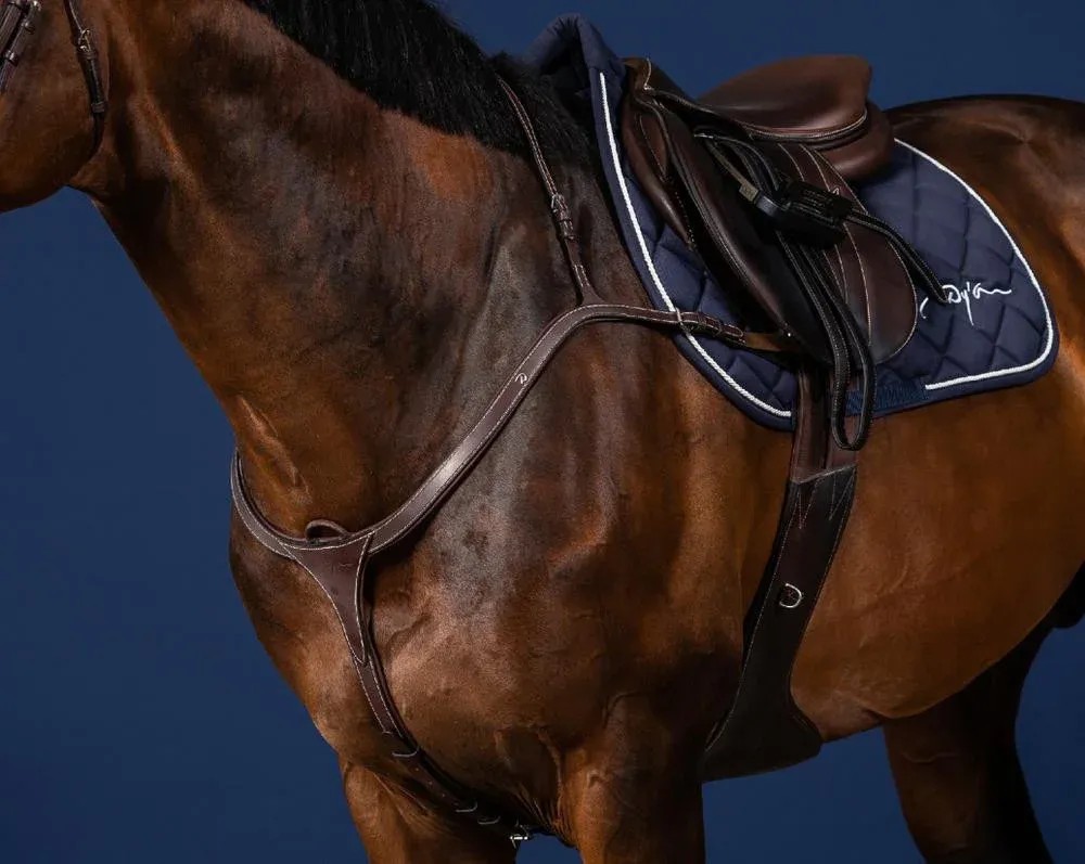 Expdition Rapide Collier De Chasse Long Pont US Collection by Dy&rsquo;on – Poney – Brun