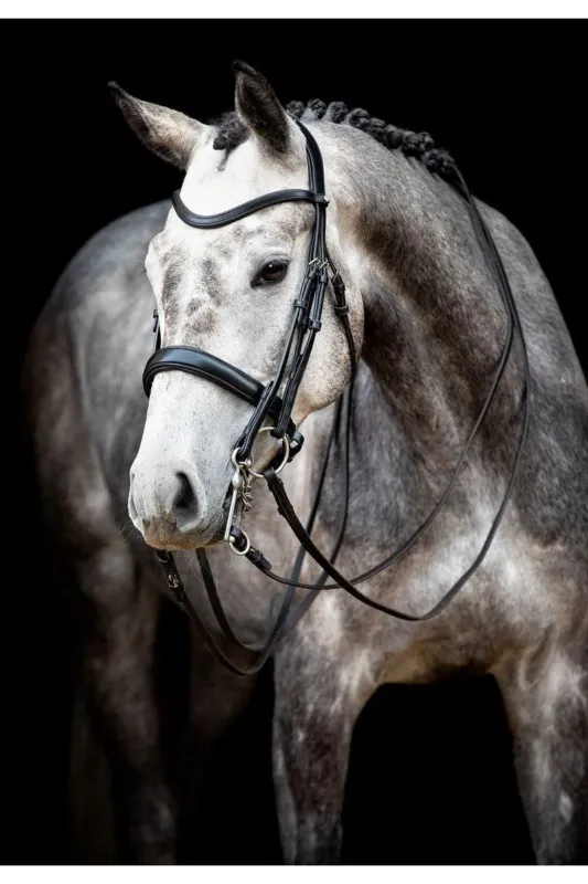 Meilleur Choix Bride Montar Normandie cuir tann - Cob - Noir