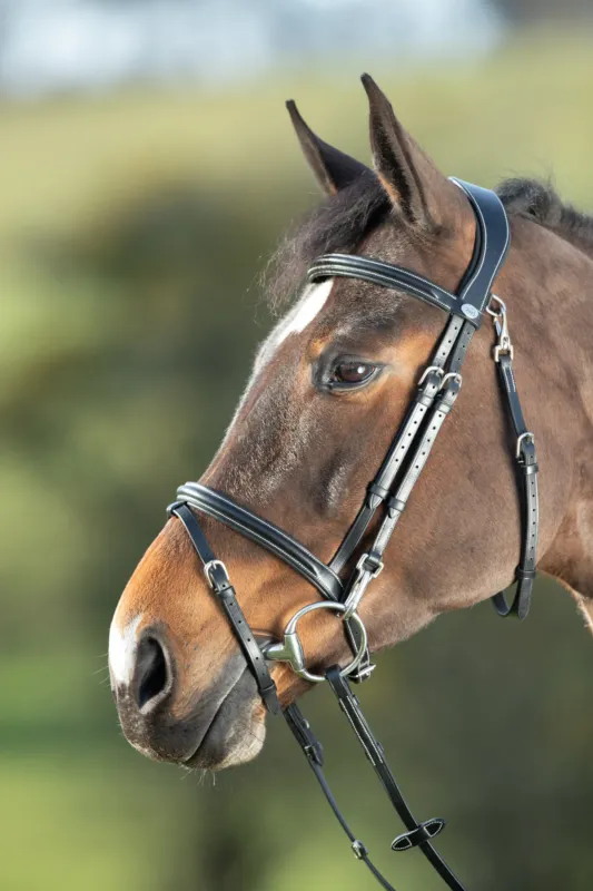 Bridon fonctionnel HFI – Cheval – Noir Promotion