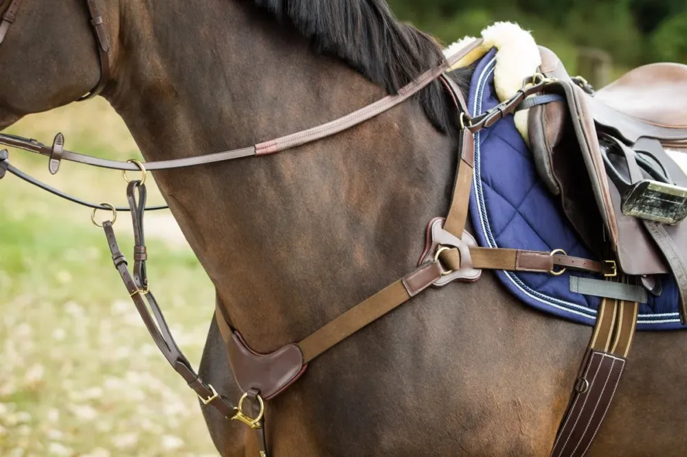 Top Vente Collier de chasse 5 points HFI – Cheval – Marron