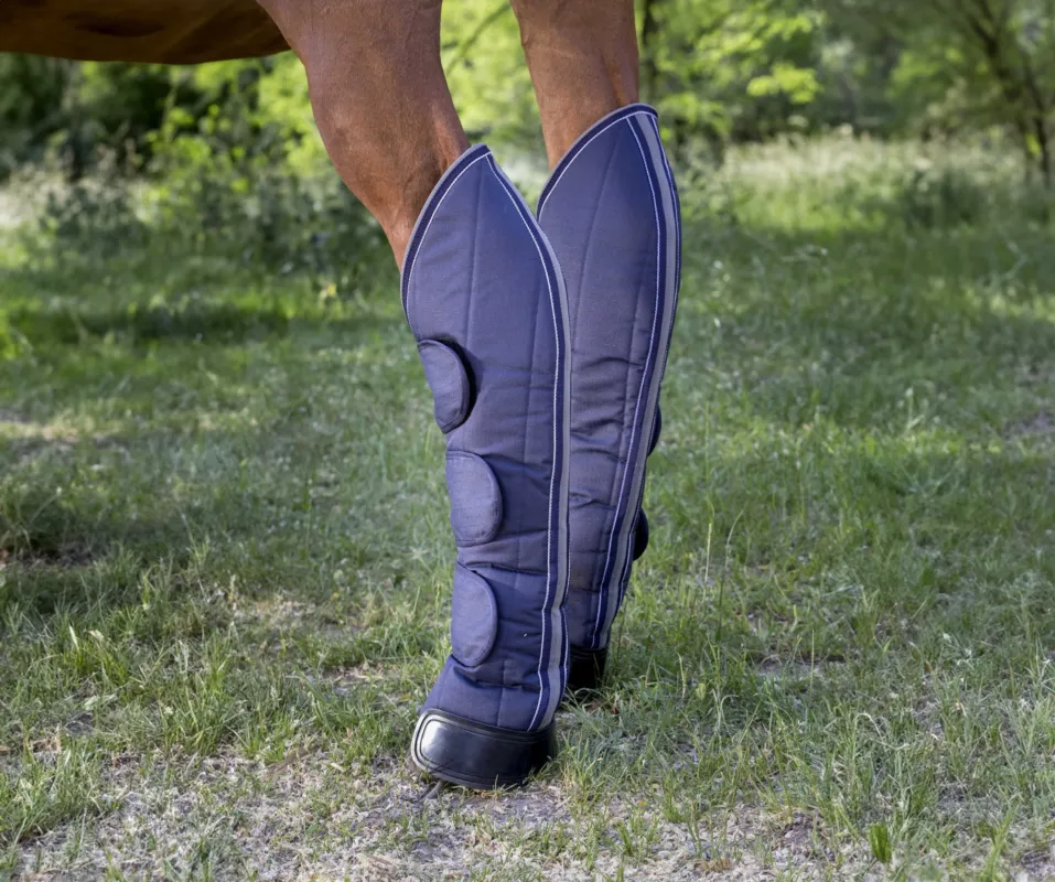 Offre Spciale Gutres de transport Equithme 600D Renforc - Cheval