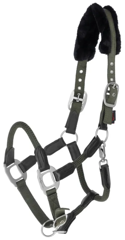 Petit Prix Licol Cordano Covalliero - Poney - Olive