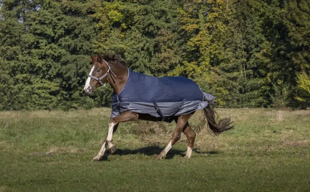 Achetez Aujourdhui Couverture Equithme Tyrex 600D High Neck 300G – 165 cm