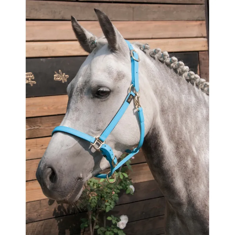 Licol Biotack T de T - Cheval - Bleu ciel Authentique