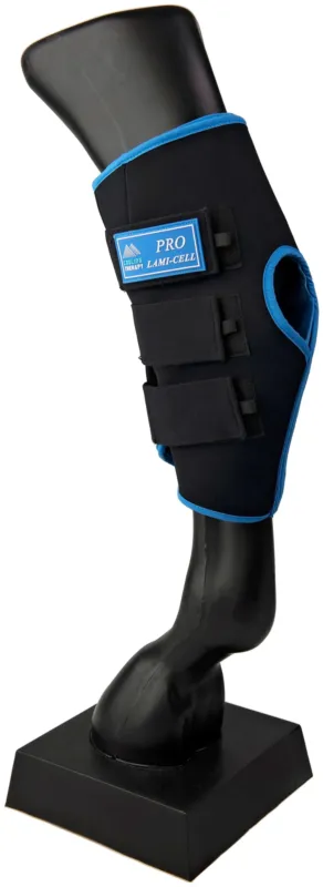 Protge-jarrets Ice Boots Lami-Cell - Cheval - Noir / bleu Expdi Aujourdhui