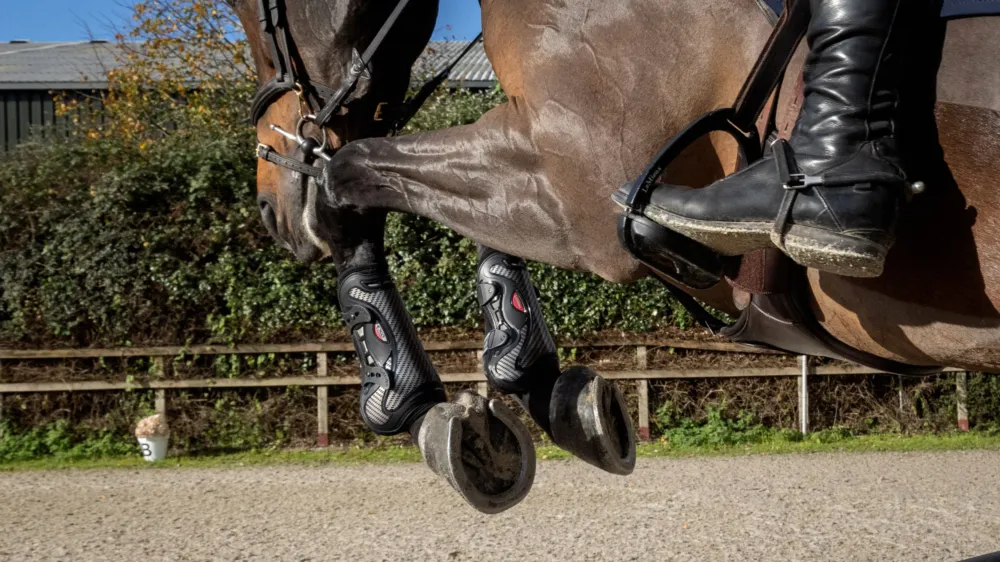 Gutres Exo-Flex LeMieux - M - Noir Acheter En Ligne