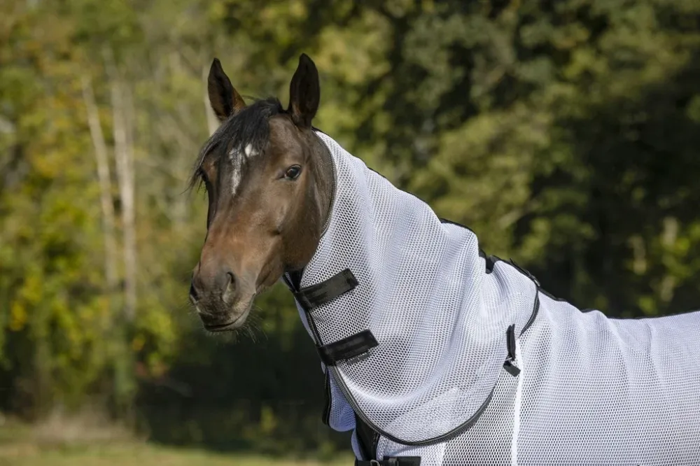 Haute Qualit Couvre-cou Equithme 3D Mesh - Poney - Blanc