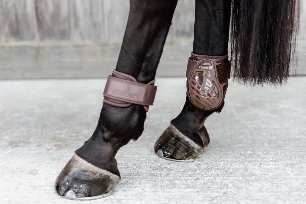 Protge-boulet jeunes chevaux Kentucky - S - Marron Haute Qualit
