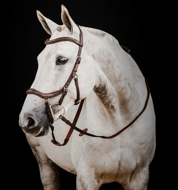 Rduction Bridon Horseware Micklem 2 Deluxe Competition - Grand cheval - Havane fonc