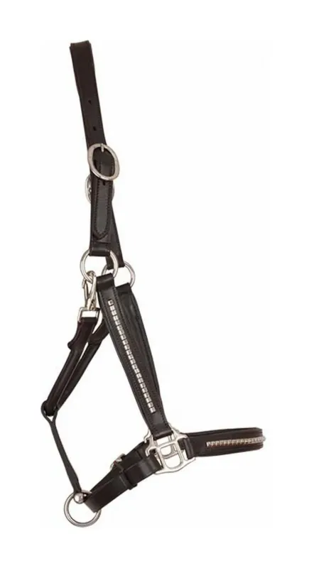 Offre Spciale Licol cuir clincher T de T - Cheval - Havane fonc / blanc