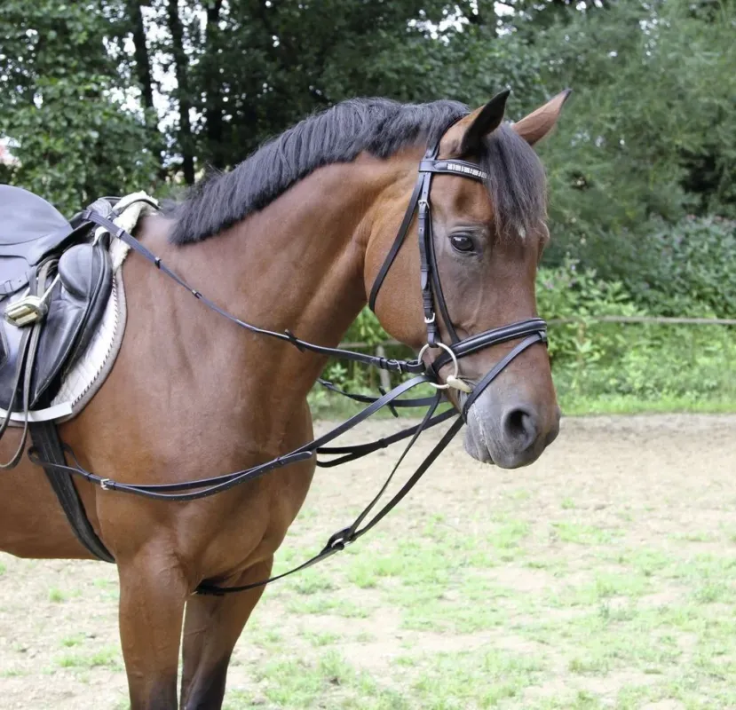 Nouvelle Collection Rnes en forme de triangle Covalliero - Poney