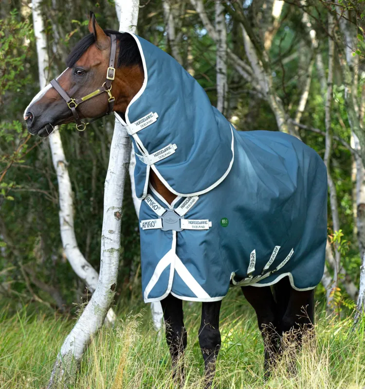 Commander Vite Couverture Horseware Amigo AmEco 12 Plus 0g 1200D - 165 cm - Sarcelle / gris