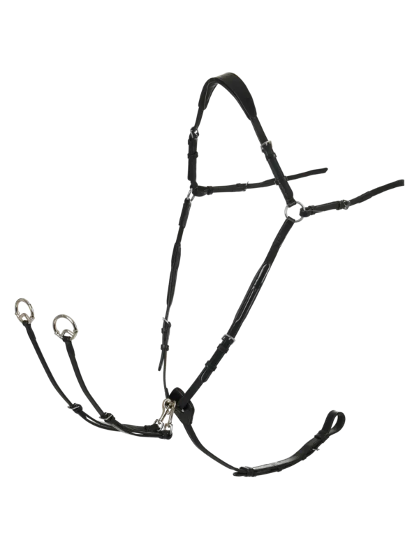 Affaire  Saisir Collier de chasse LeMieux – Cheval – Noir