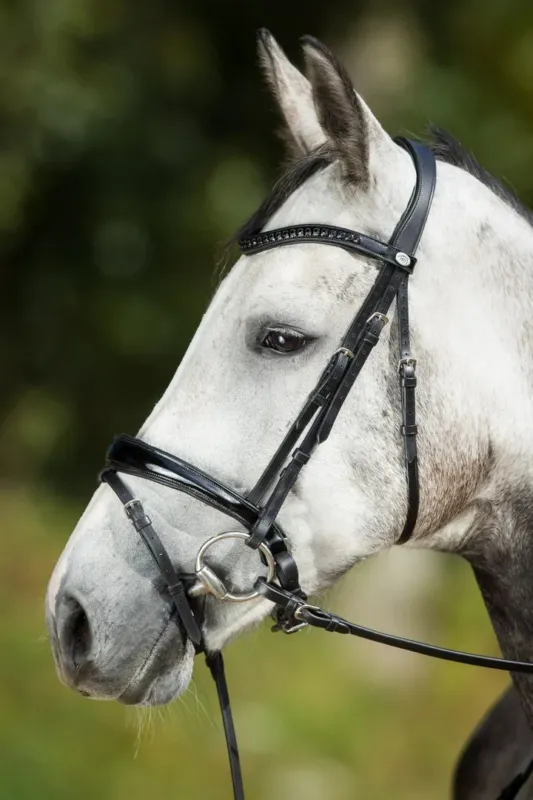 Bridon Luxe HFI - Cheval - Noir Meilleur Choix