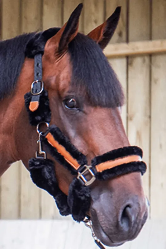Licol Pnlope Soft – Cheval – Noir Must-Have