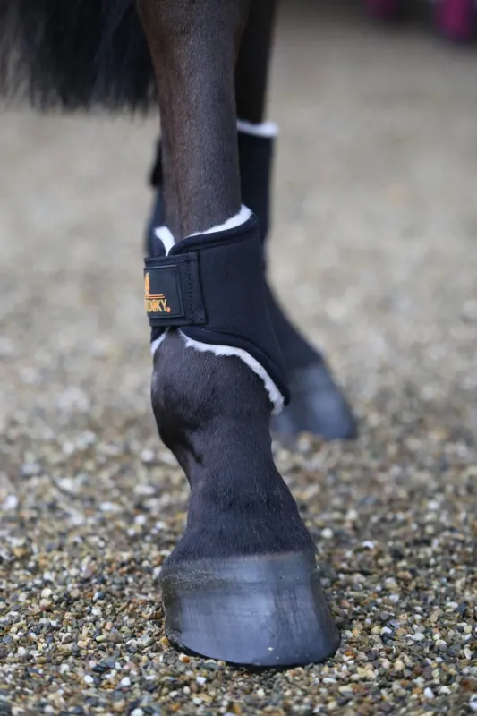 Bon March Gutres fermes Solimbra postrieurs courtes Kentucky - Cheval - Noir