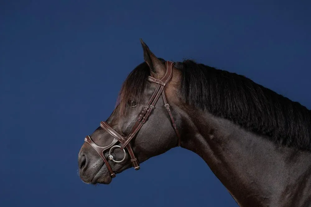 Authentique Bridon Double Muserolle US Collection by Dy&rsquo;on – Cheval – Marron