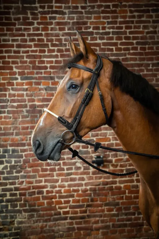 Meilleure Vente Bridon Muserolle Corde D Collection by Dy'on - Cheval - Noir
