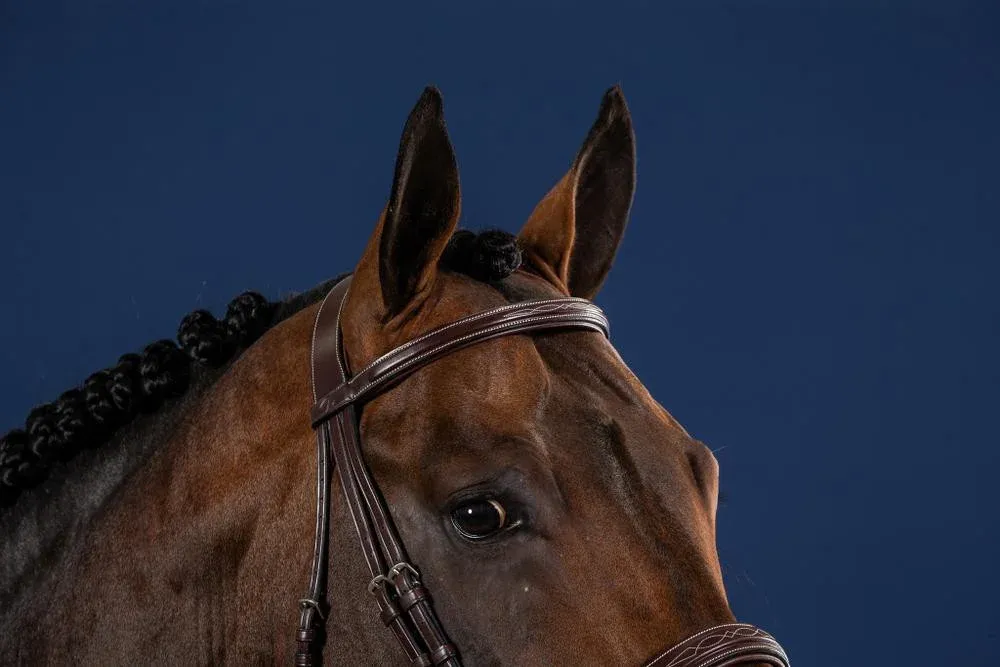 Frontal Droit Sans Pins US Collection by Dy&rsquo;on – Poney – Brun Promotion