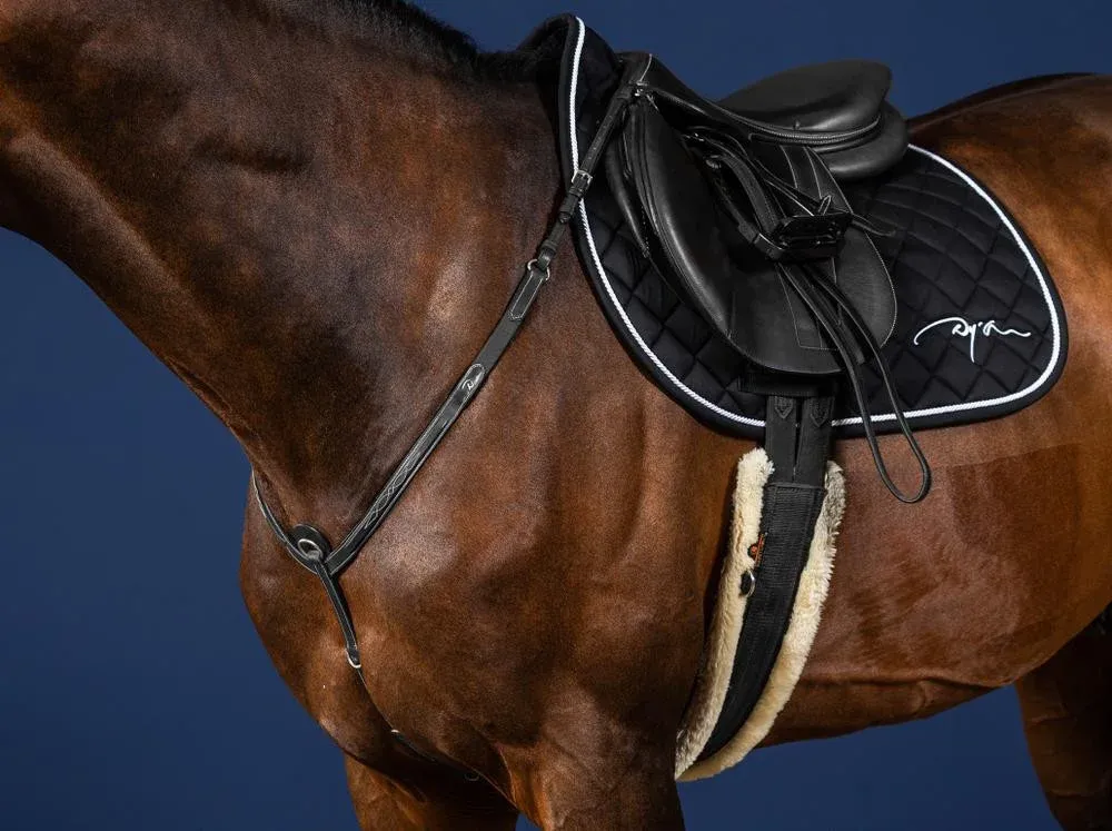 Collier De Chasse US Collection by Dy&rsquo;on – Poney – Noir Dernier Modle