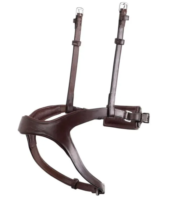 Bon March Muserolle combin Montar Monarch cuir tann – Grand cheval – Marron