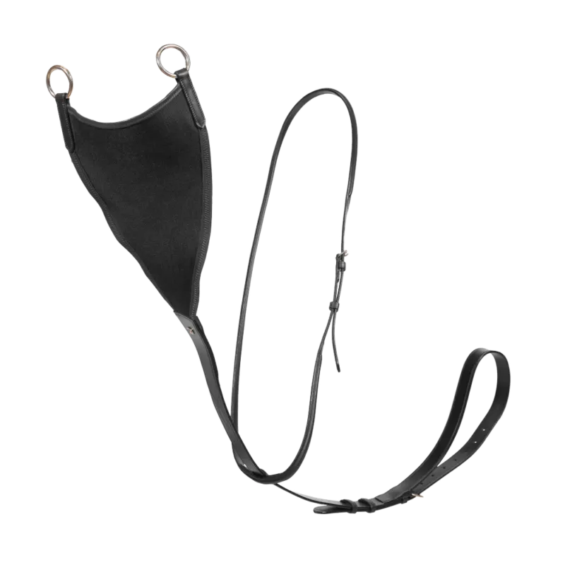 Martingale Pleine Elastique Dy'on New English Collection - Cheval - Noir Commander Vite