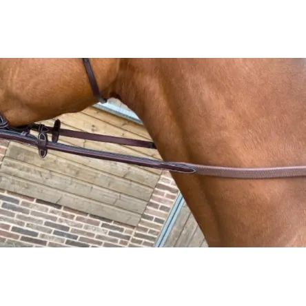 Offre Du Jour Rnes Week Tuesday - Jump In - CHEVAL/FULL - ACAJOU