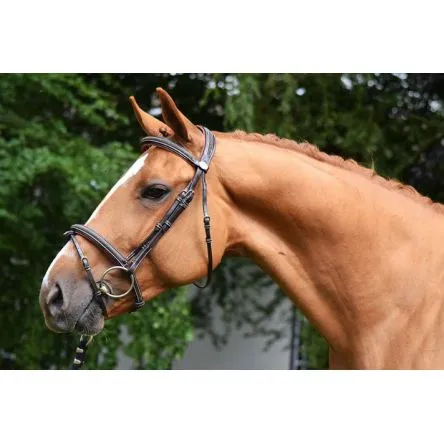 Prix Rduit Bridon Week Crystal Jump In - COB/PUR-SANG - HAVANE