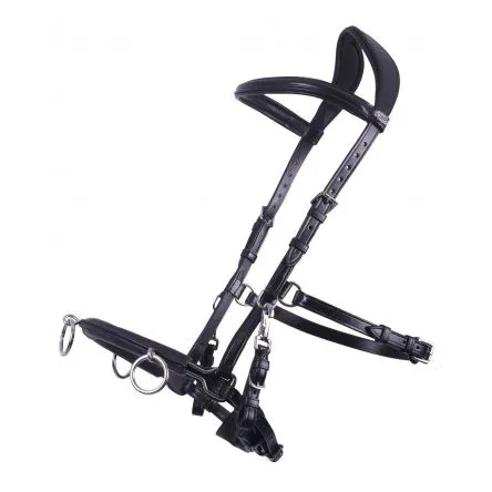 Cavecon Cuir QHP - PONEY - NOIR Prix Rduit
