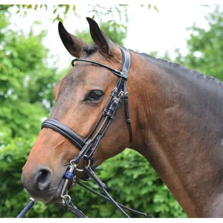 Bride de dressage vernie - Collection week - Jump In - CHEVAL/FULL - NOIR Haute Qualit