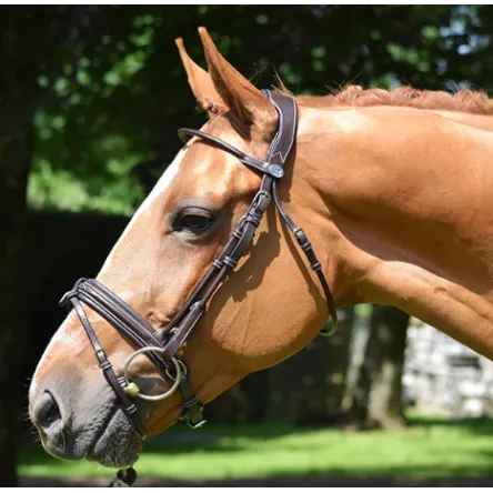 Authentique Bridon Friday - Collection week - Jump In - CHEVAL/FULL - NOIR