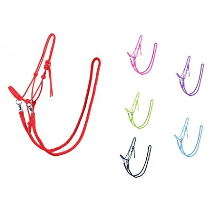 Top Vente Licol corde avec rnes QHP - MARINE - COB/PUR-SANG