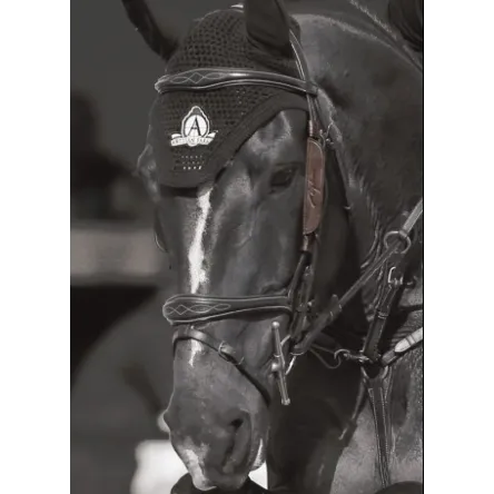 Promotion Saisonnire Oeillres Dyon/Montants « Focus » – CHEVAL/FULL – NOIR
