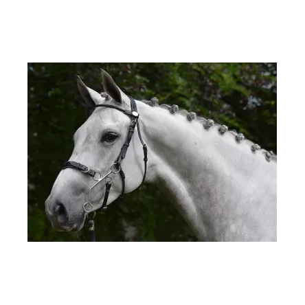 Acheter Direct Bridon Week Hackamore jump&rsquo;in – CHEVAL/FULL – HAVANE