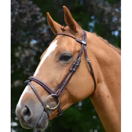 Bridon Week Monday Jump In - CHEVAL/FULL - ACAJOU Promotion Saisonnire
