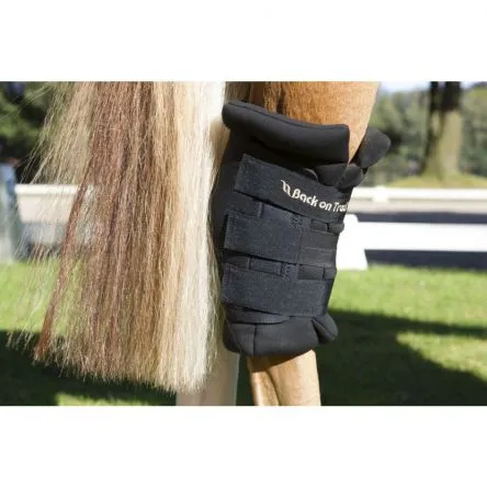 Produit De Marque Protge Jarrets Royal Back On Track - M