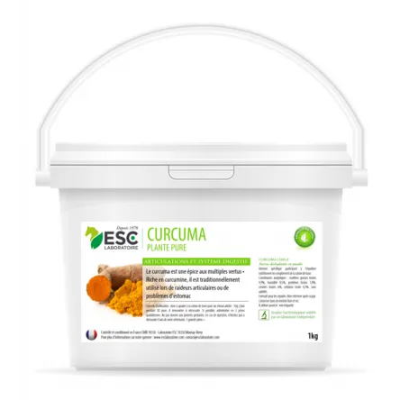 Achetez Aujourdhui Curcuma 1kg ESC#