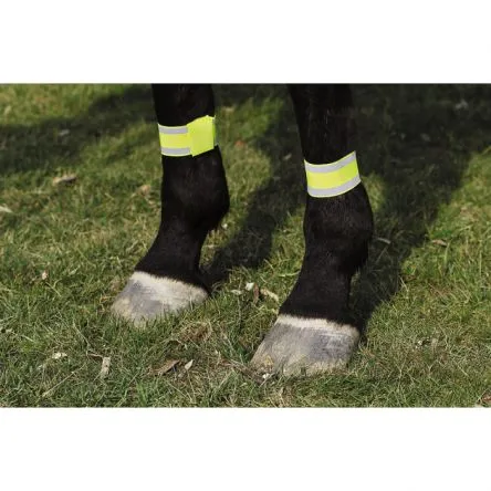 Bandages Fluo Elastiques# Meilleur Choix