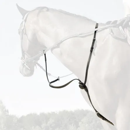 MARTINGALE C-CURE – CHEVAL/FULL – HAVANE Nouveaut