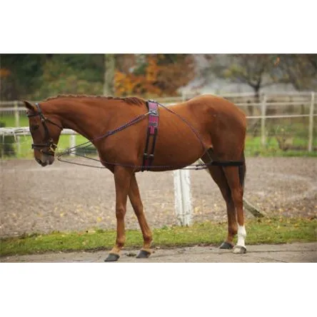 Prix Cass Enrnement  poulies Norton type Pessoa#