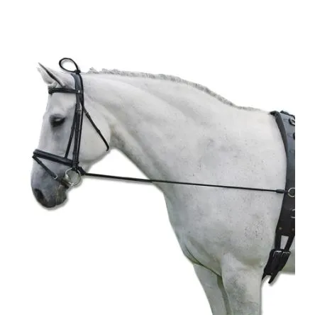 Prix Rduit Enrnement Educatif - CHEVAL/FULL