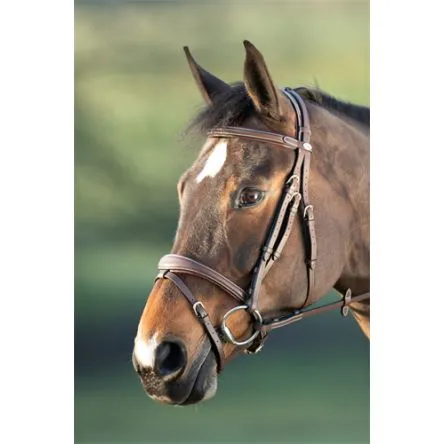 Bridon Technical HFI – CHEVAL/FULL – NOIR Paiement Scuris
