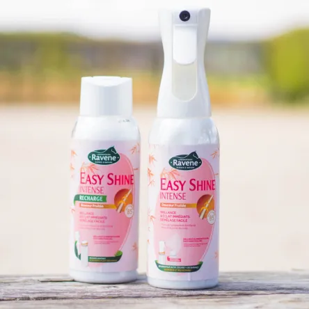 EASY SHINE INTENSE Spray 500ml# Nouveaut