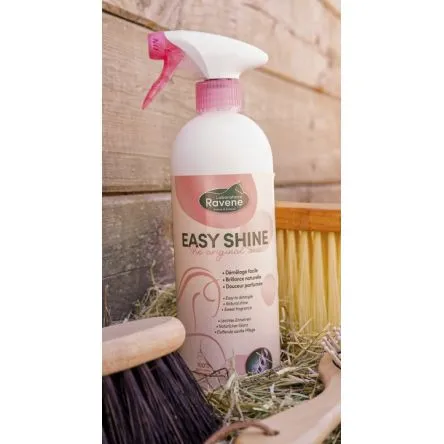 EASY SHINE LUSTRANT Spray 750ml# Prix Choc